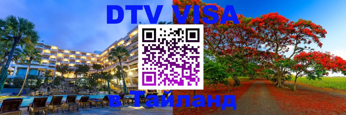 Сколько стоит DTV виза — актуальные цены, оформление даже без документов - Берлин 